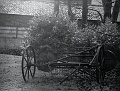 Old farm